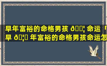 早年富裕的命格男孩 🐦 命运「早 🦉 年富裕的命格男孩命运怎么样」